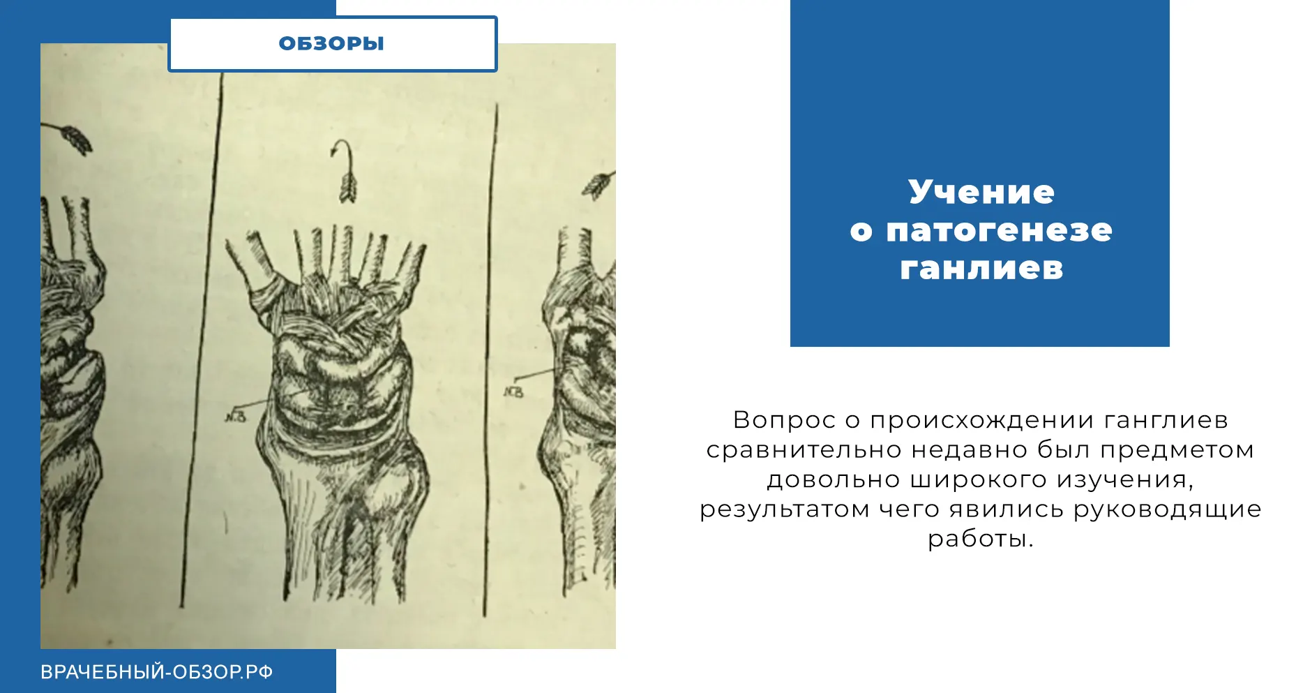 Учение о патогенезе ганлиев